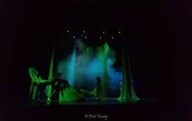 IMG_6349