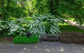 DJI_20260602134214_0696_D