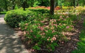 DJI_20260602134105_0692_D