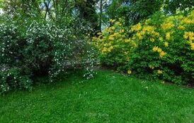 DJI_20260602132633_0656_D