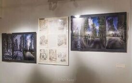 IMG_7704