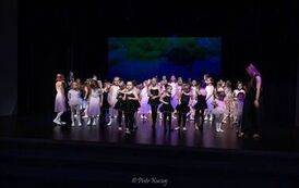 IMG_9008