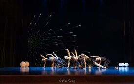 IMG_8911