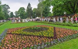 IMG_1642