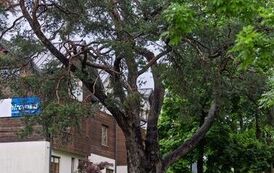 IMG_1365