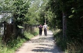 IMG_2929
