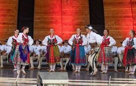 IMG_4239