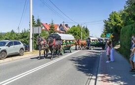 IMG_5493