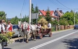 IMG_5491