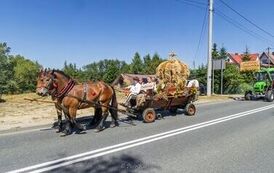 IMG_5484