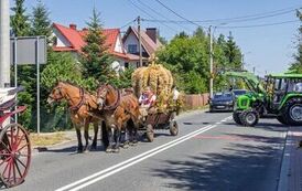 IMG_5481