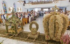 IMG_5283