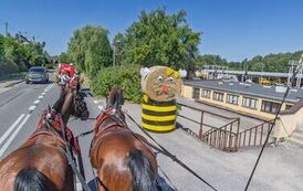 IMG_5219
