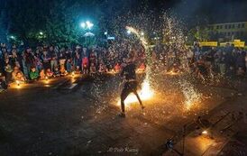 IMG_7356