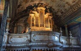 IMG_8361