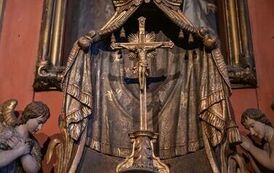 IMG_8313