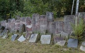 IMG_9448