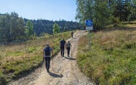 IMG_2624