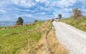 IMG_2596