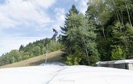 IMG_3675