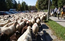 045A0494