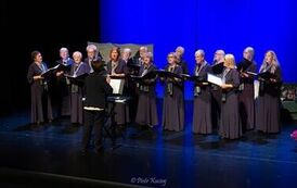 IMG_2500