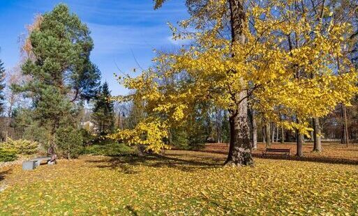 Zdjęcie do Jesień w Rabce-Zdroju - złoty czas spacer&oacute;w po uzdrowisku