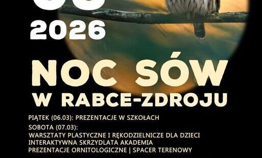 Zdjęcie do Druga Noc S&oacute;w w Rabce-Zdroju