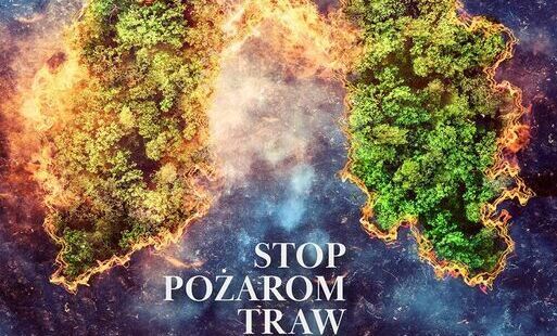 Zdjęcie do Wiosenne wypalanie traw - groźny proceder. Apel leśnik&oacute;w o wsp&oacute;lne działania