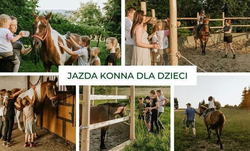 Zdjęcie do Koniki u Weroniki &ndash; miejsce, gdzie dzieci odkrywają pasję do koni i natury