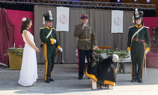 Zdjęcie do Lustro Historii 2025 - podr&oacute;ż przez wieki w Święto Wojska Polskiego