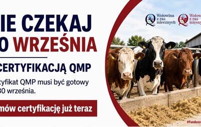 Zdjęcie do Rolniku! Nie czekaj do września z certyfikacją QMP